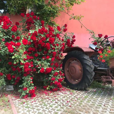 Agriturismo Mulino Bianco Lonato Kültér fotó