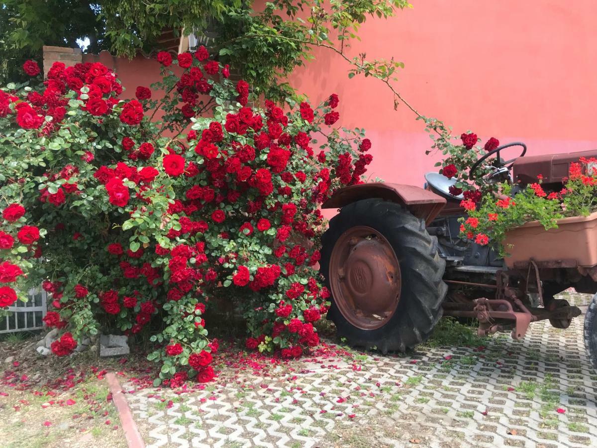 Agriturismo Mulino Bianco Lonato Kültér fotó
